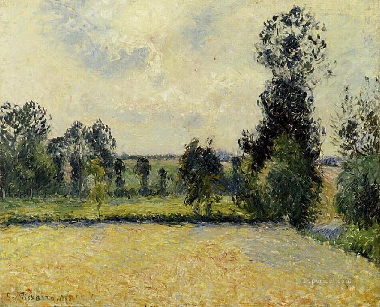 Campo de avena en eragny 1885 Camille Pissarro Pintura al óleo